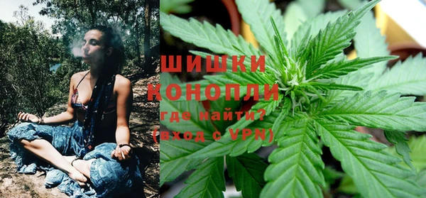 ешки Белокуриха