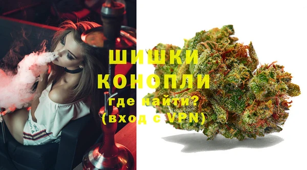 ешки Белокуриха