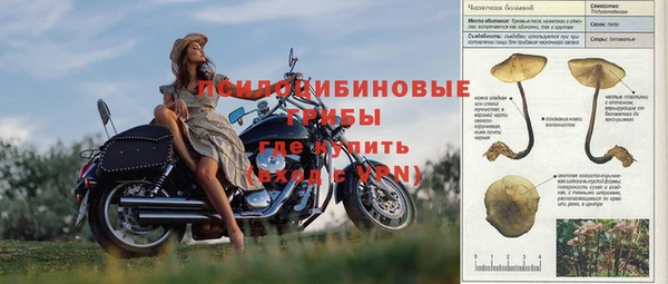 ешки Белокуриха
